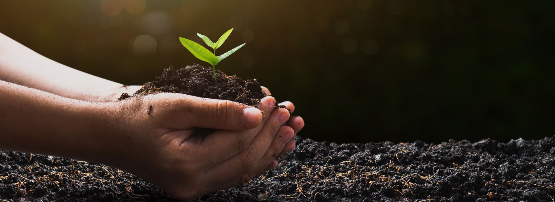 pós-graduação em direito ambiental