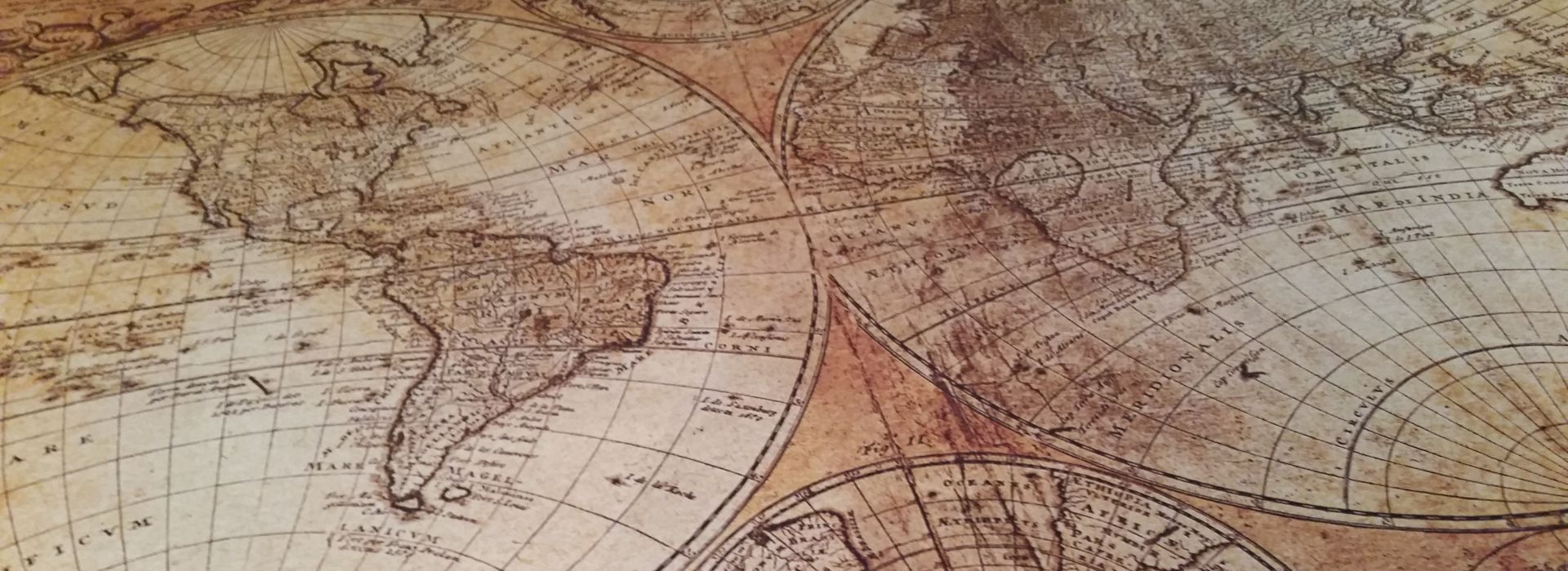 Por que cursar graduação em história?